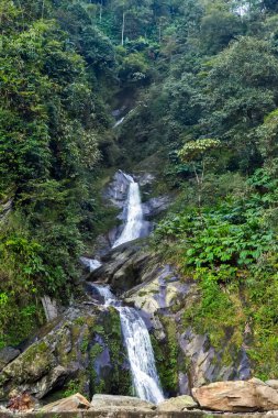 Şelale tropikal yağmur ormanları