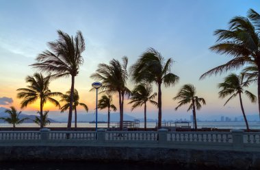 tropik ada cennet plaj