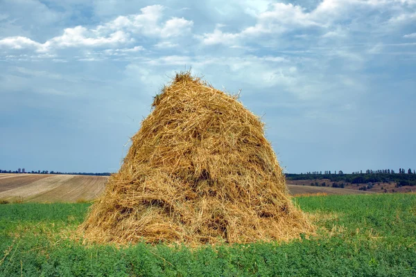 Country Side Hay Bale — Stock Photo, Image