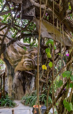 Guesthouse tımarhane