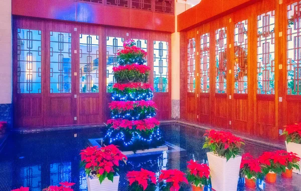 Kerstboom interieur, — Stockfoto