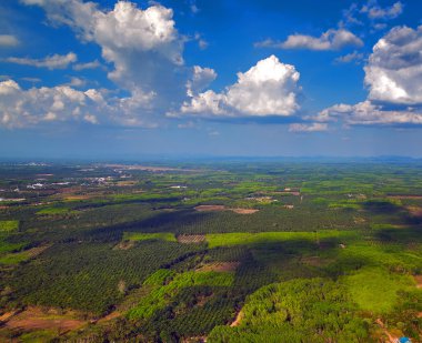 Yeşil orman ve mavi gökyüzü
