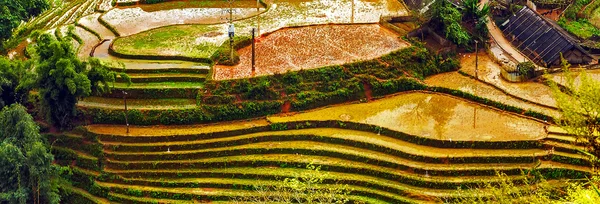 Vesnice zemědělství Terraced rýžové pole — Stock fotografie