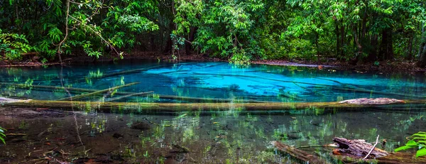 Piscine bleue émeraude en forêt — Photo