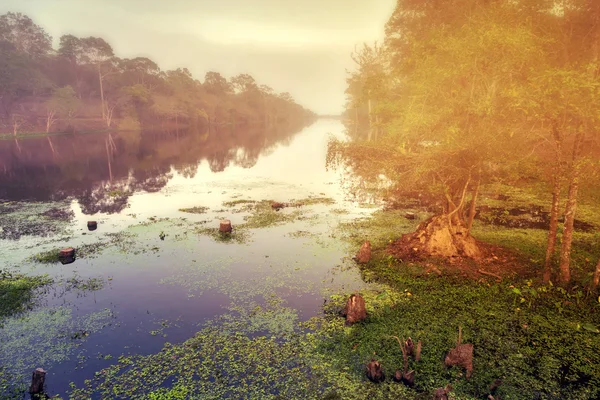 Nebel von Canal Angkor wat, Kambodscha. — Stockfoto