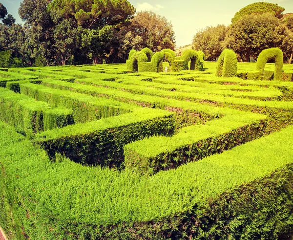 Grön park labyrint Barcelona — Stockfoto