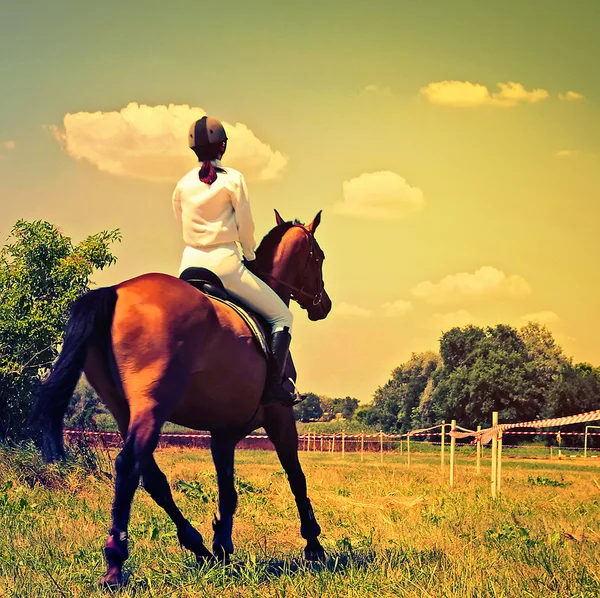 Cavallo e cavaliere vincitore — Foto Stock