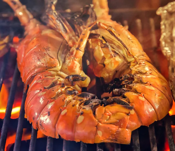 红龙虾烧烤海鲜 — 图库照片