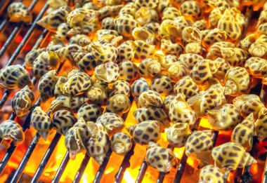 salyangoz barbekü ızgara pişirme deniz ürünleri.