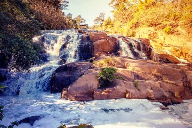 Dalat Vietnam 'da Cam Ly Şelalesi
