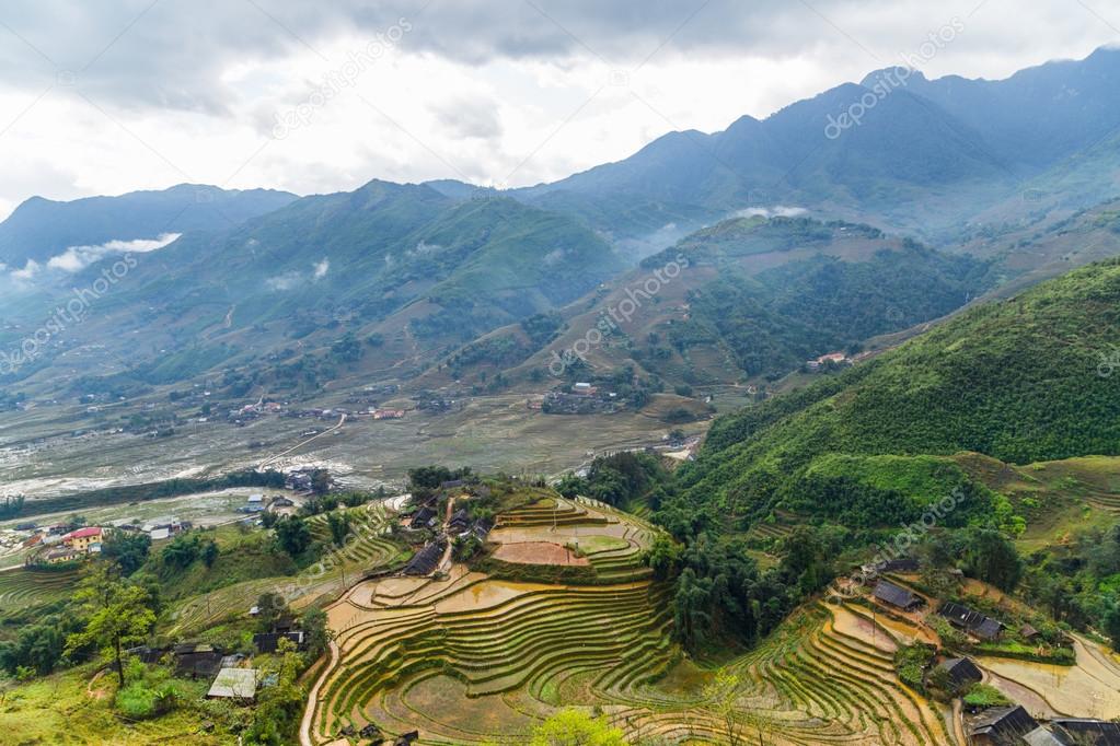 landscapes Rice fields