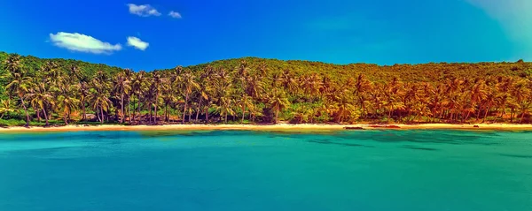 Isola della giungla costiera — Foto Stock