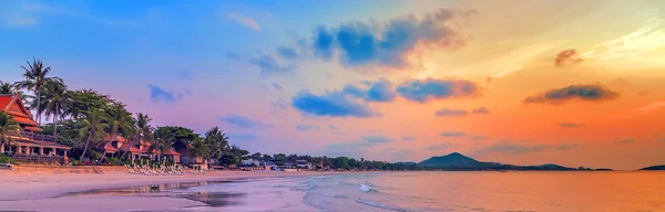 Palms on sand beach in tropic on sunset. Stock Picture