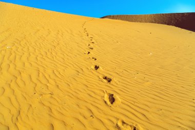 Kum çölünün kumları