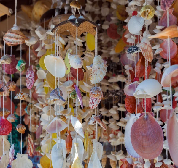 Seashells hung decoration — Stock Photo, Image