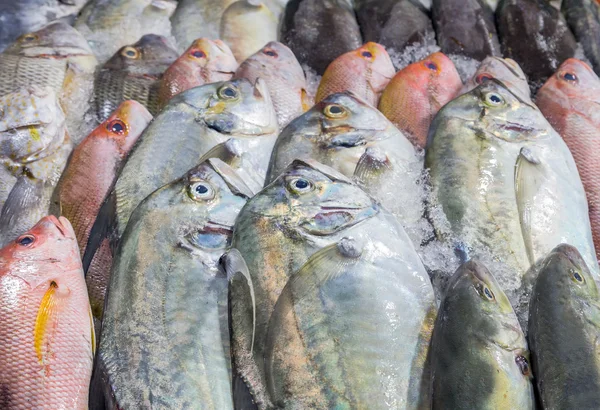 Peixe fresco no gelo no mercado de rua — Fotografia de Stock