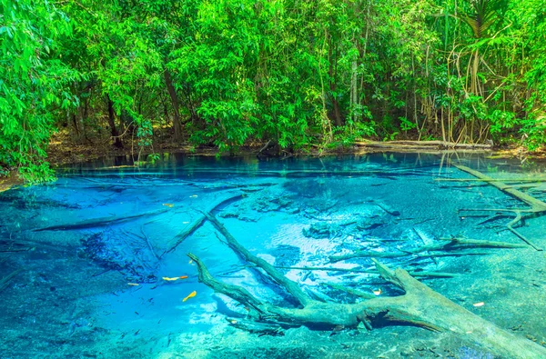 Les Blue Pool Krabi Province — Stock fotografie