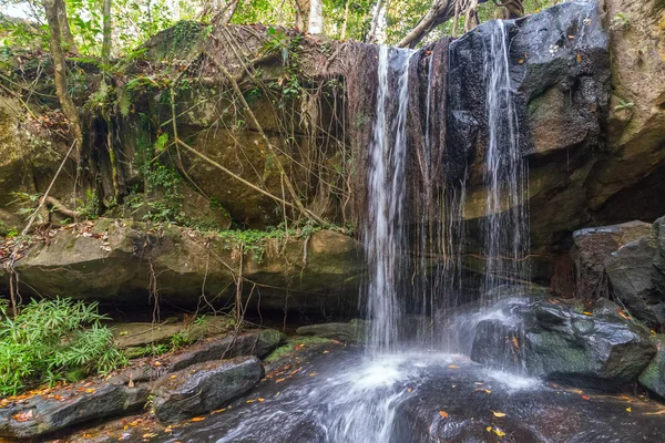 Waterfall in the Rain Forest — Stock Photo, Image