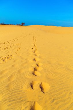 Kum çölünün kumları