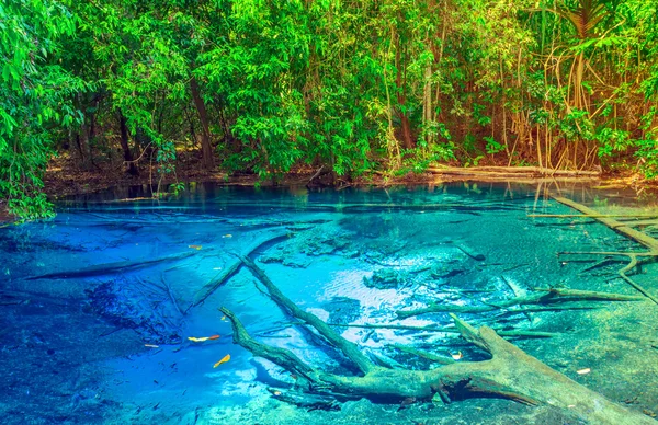 Forêt Blue Pool Krabi Province — Photo