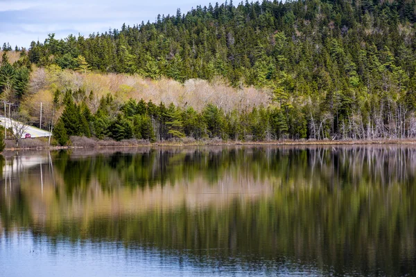 Park narodowy Acadia. Maine. — Zdjęcie stockowe