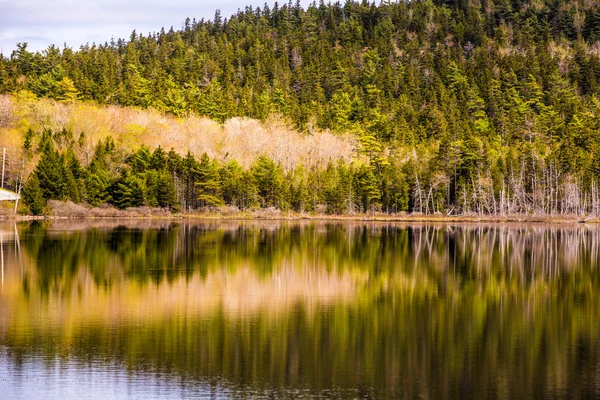 Национальный парк Акадия. Мэн . — стоковое фото