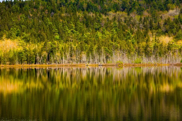 Parque Nacional Acadia. Maine... . — Fotografia de Stock