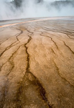 Batı başparmak Şofben havzasında yellowstone Milli Parkı