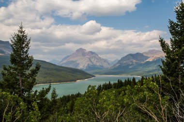 Waterton buzul Uluslararası Barış Parkı