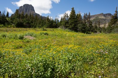 Buzul Ulusal Parkı.