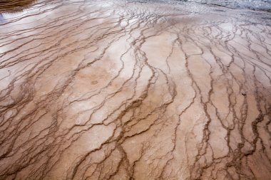 Grand Prizmatik Bahar, Midway Şofben Havzası, Yellowstone Nationa