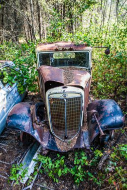 Eski paslı arabanın içinde hurdalık