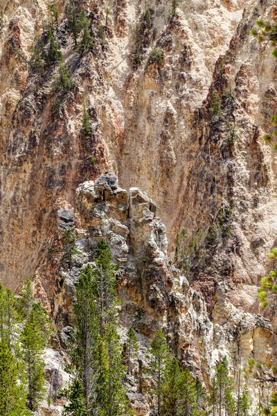 Fiskgjuses nest. Grand Canyon i Yellowstone i Yellowstone N — Stockfoto