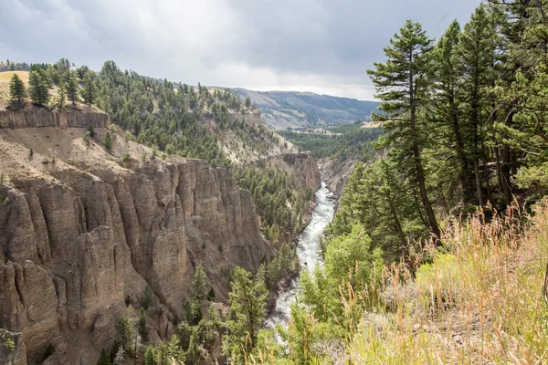 El Gran Cañón de Yellowstone en el Parque Nacional de Yellowstone, Wy —  Fotos de Stock