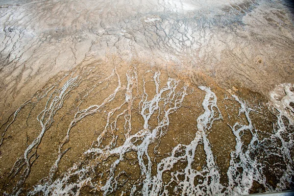 Cuenca del Géiser del Pulgar Oeste en el Parque Nacional de Yellowstone —  Fotos de Stock