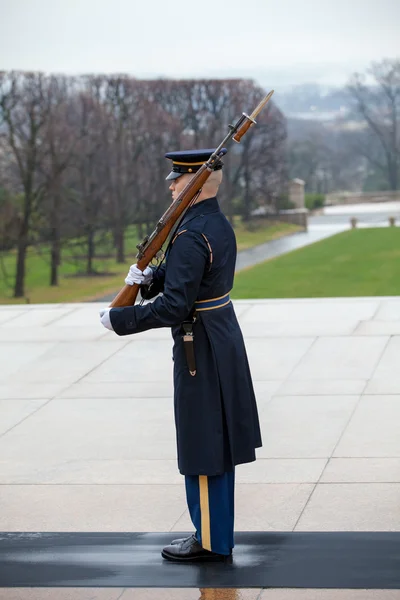 WASHINGTON, D.C. - 25 de diciembre de 2014: Centinela de la Guardia de Tumbas en The —  Fotos de Stock