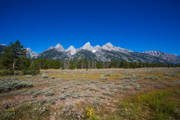 Park Narodowy Grand Teton — Zdjęcie stockowe