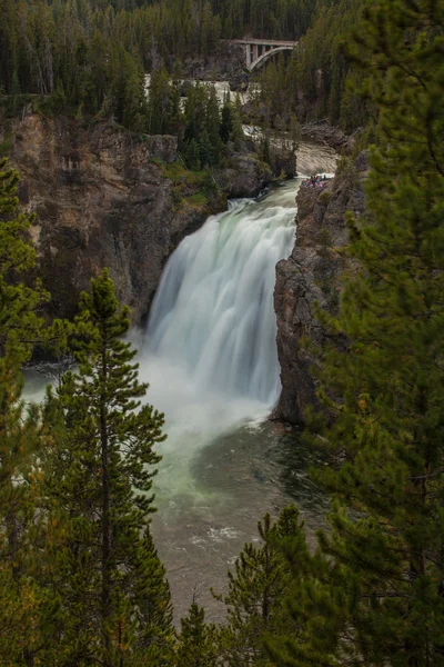 Το κάτω πέφτει σε στο grand canyon από το yellowstone — Φωτογραφία Αρχείου