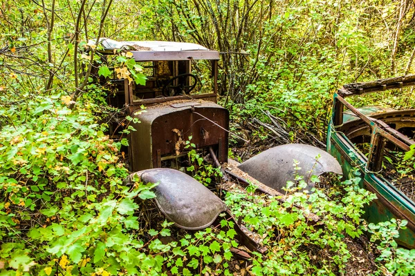 Oude verroeste auto in ongewenste tuin — Stockfoto