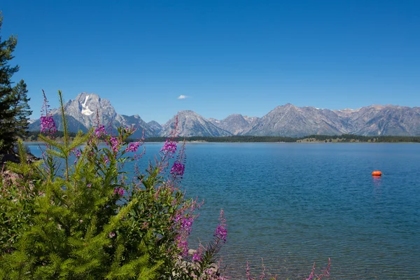 อุทยานแห่งชาติ Grand Teton — ภาพถ่ายสต็อก