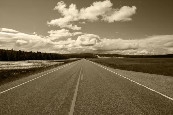Дорога вздовж Єллоустонський Національний парк — стокове фото