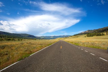 Yol boyunca Yellowstone Milli Parkı 