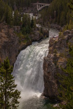 alt yellowstone Kanyon de düşüyor