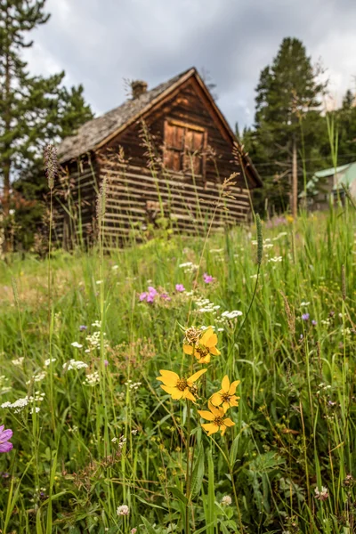 Casa de fazenda velha na paisagem rural — Fotografia de Stock