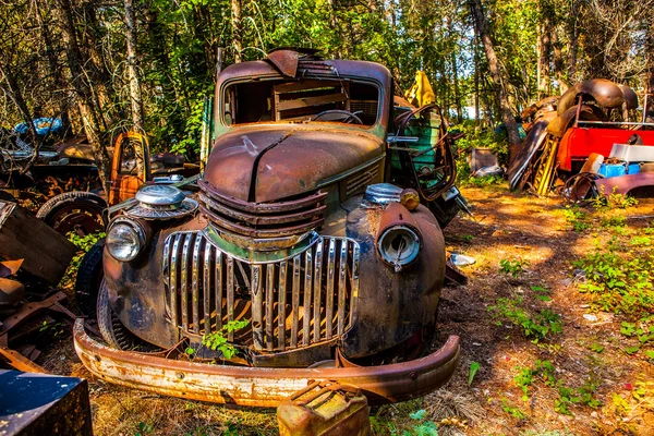 Oude verroeste auto in ongewenste tuin — Stockfoto
