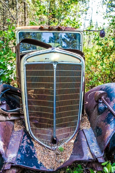 Oude verroeste auto in ongewenste tuin — Stockfoto