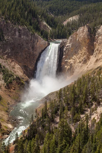 Dolnej części mieści się w grand canyon w Yellowstone — Zdjęcie stockowe