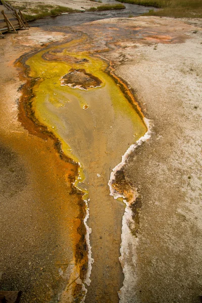 Siyah kum Havzası Yellowstone Milli Parkı'nda