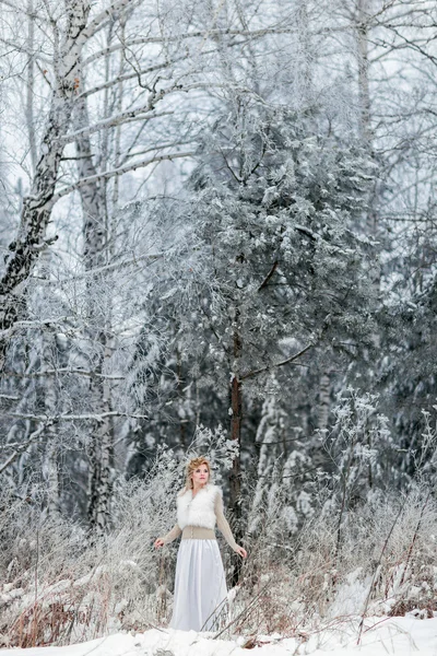 雪の女王 — ストック写真