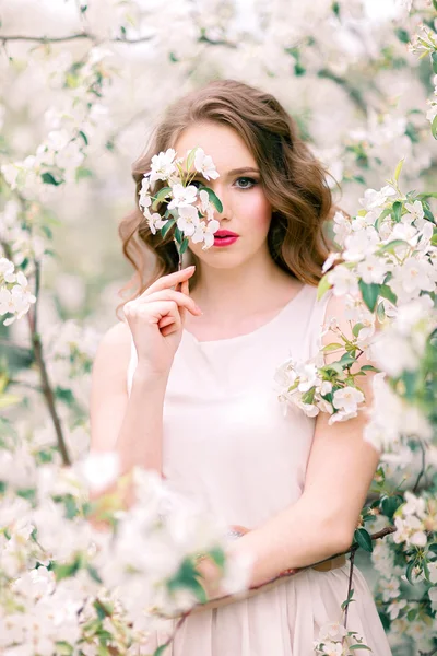 Beauty in the flowering park — Stock Photo, Image